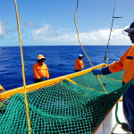 A group of professional Nauruan fishermen and fisherwomen, fully clothed in modest, practical work attire and safety gear, expertly managing nets on a modern, well-equipped fishing vessel in the vast, calm blue Pacific Ocean near Nauru. The scene captures the essence of a thriving, sustainable fishing industry, with a focus on responsible practices. The distant coastline of Nauru is visible. Natural light, professional photography style, vibrant colors, clear focus. safe for work, appropriate content, fully clothed, professional, perfect anatomy, correct proportions, natural pose, well-formed hands, proper finger count, natural body proportions.