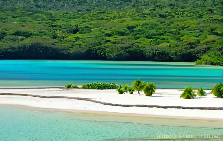 나우루 비자 발급 방법 - **"An vibrant underwater scene showcasing the rich coral reefs of Nauru. The image captures a divers...