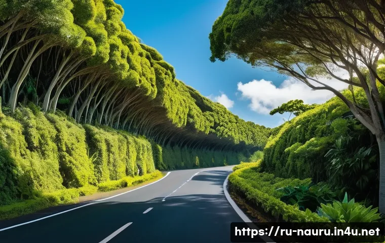 나우루 범죄율 및 안전 수준 관련 이미지 1